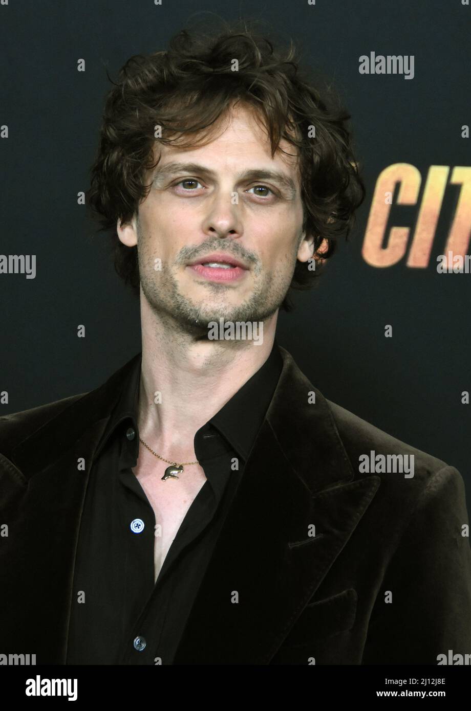 Los Angeles, California, USA 21st March 2022 Actor Matthew Gray Gubler  attends the US Premiere of Paramount Pictures 'The Lost City' at Regency  Village Theatre on March 21, 2022 in Los Angeles