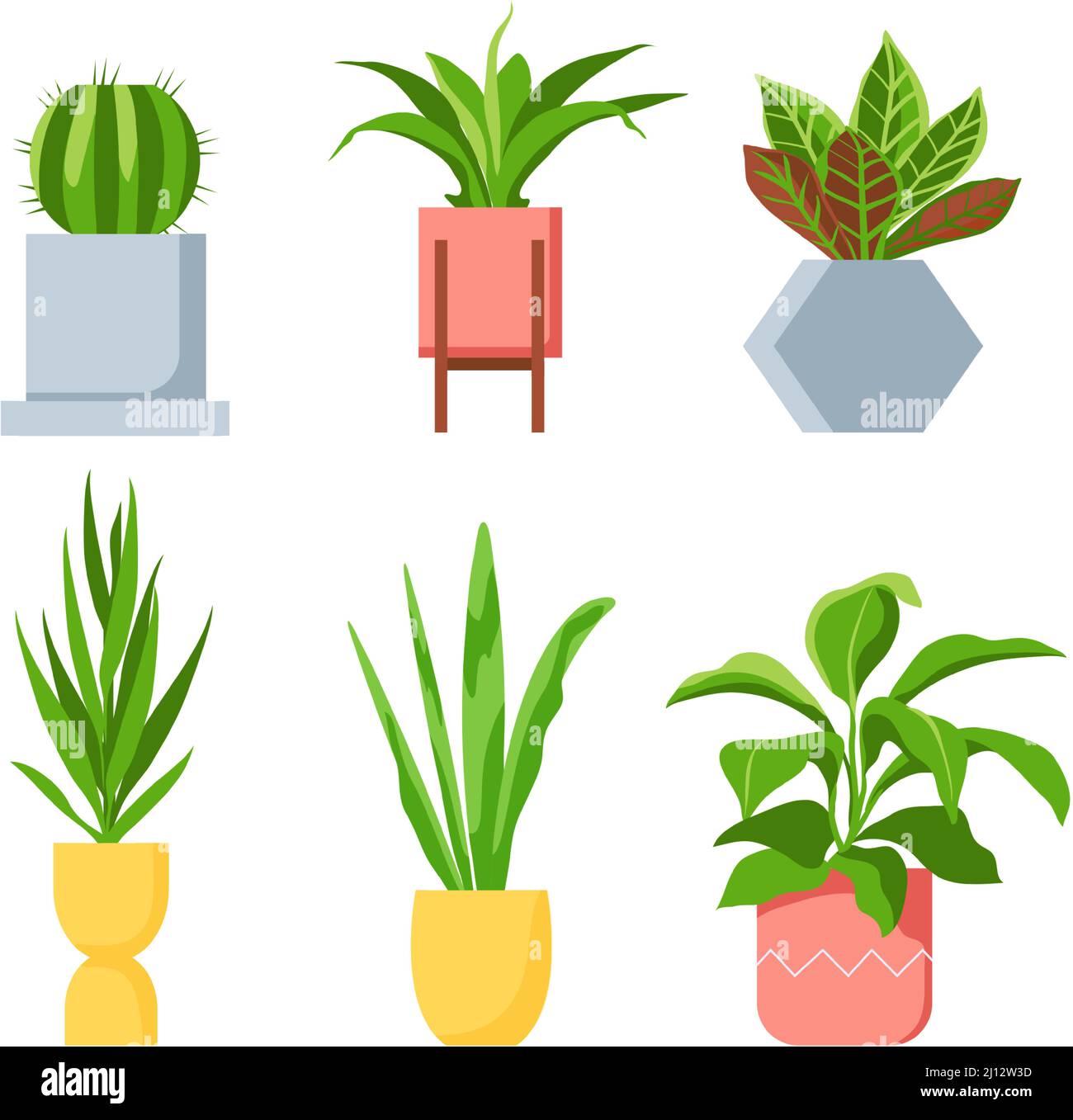 Pot plants. Different houseplants with green leaves, succulents and