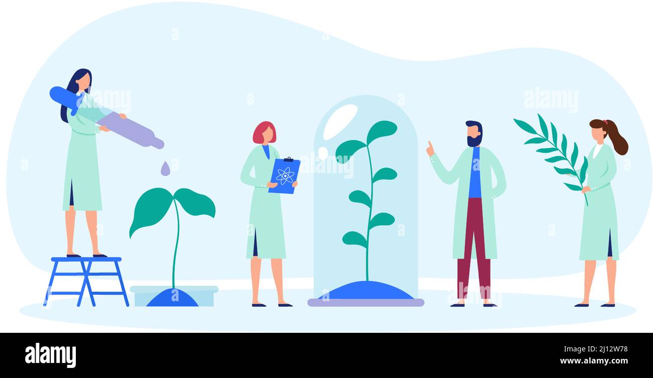 Research laboratory. Scientists researching and examining plant growth. Biologist standing on ladder Stock Vector