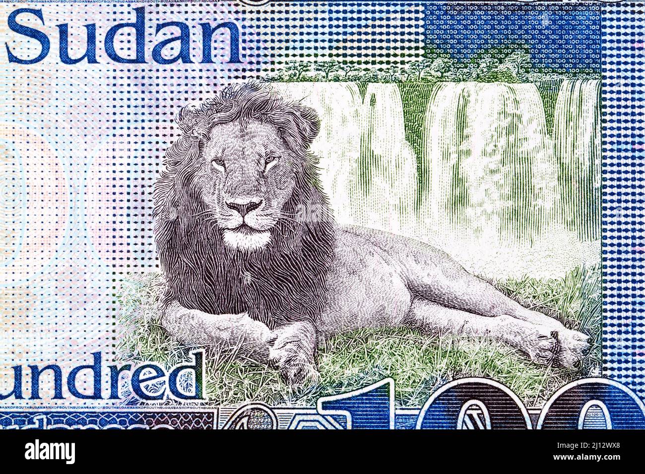 Lion and waterfall from South Sudanese money -  pound Stock Photo