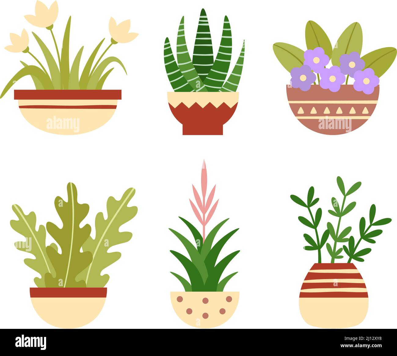 Home plants in pots. Botanical succulents, blooming flowers with green leaves. House decoration, home garden elements Stock Vector