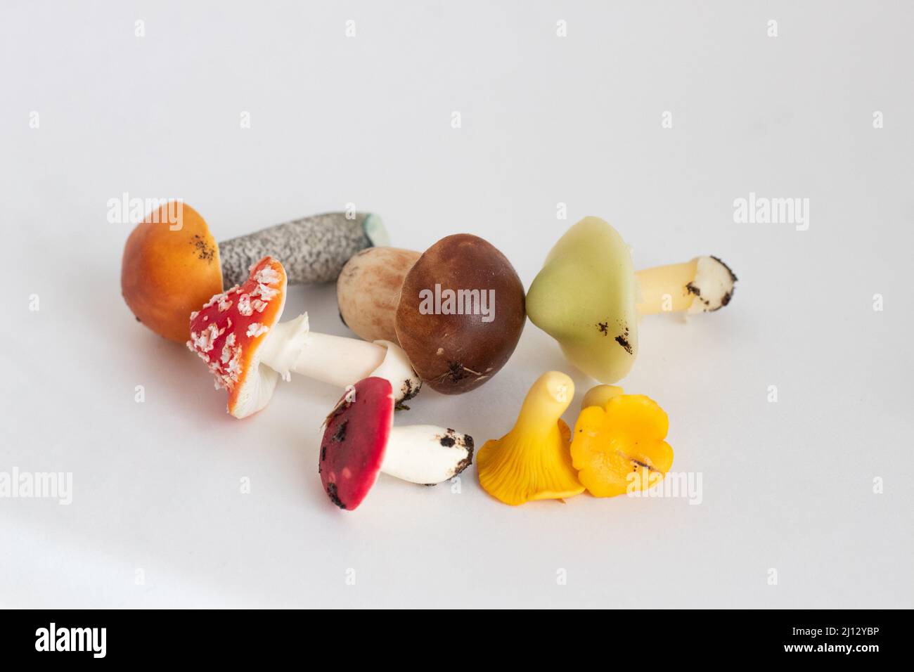 Miniature figures of aspen mushrooms, blueberry, chanterelle, fly agaric, syroezhka, pale toadstool on a white isolated background Stock Photo