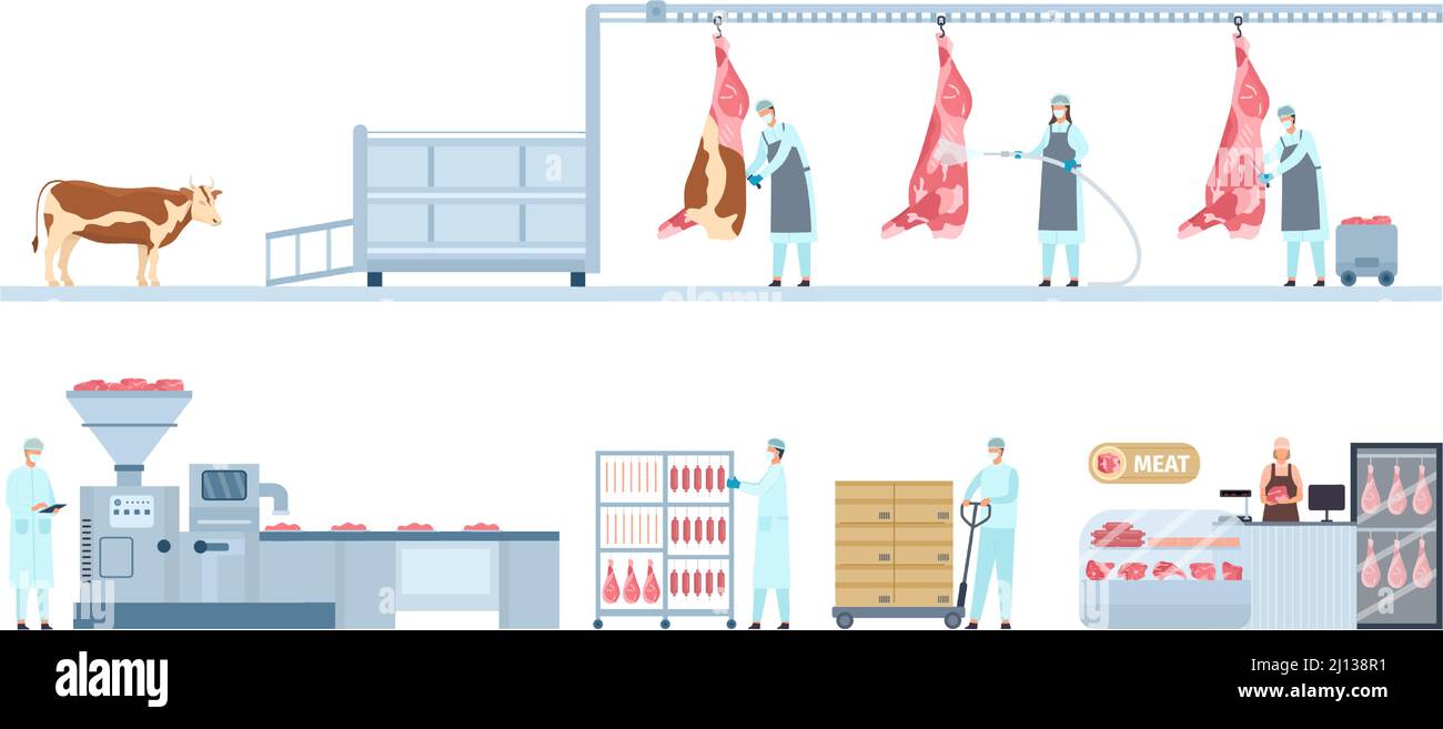 Beef product manufacture process infographic from farm cow to market