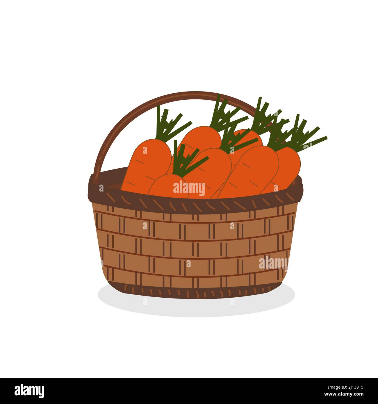carrots in a wicker basket color isolated vector illustration Stock