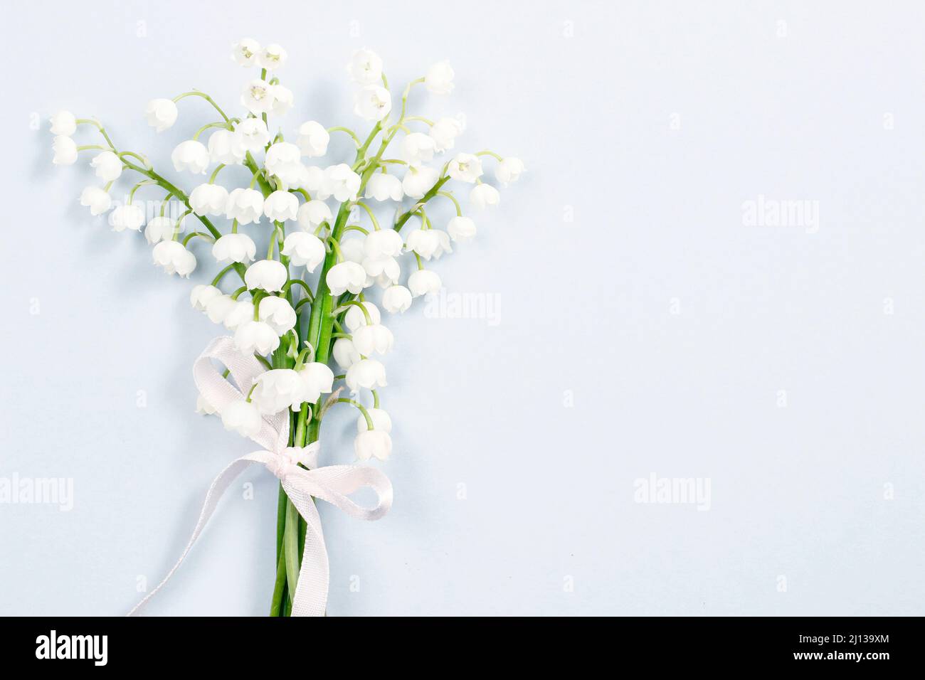 Lilly valley flowers in hi-res stock photography and images - Alamy