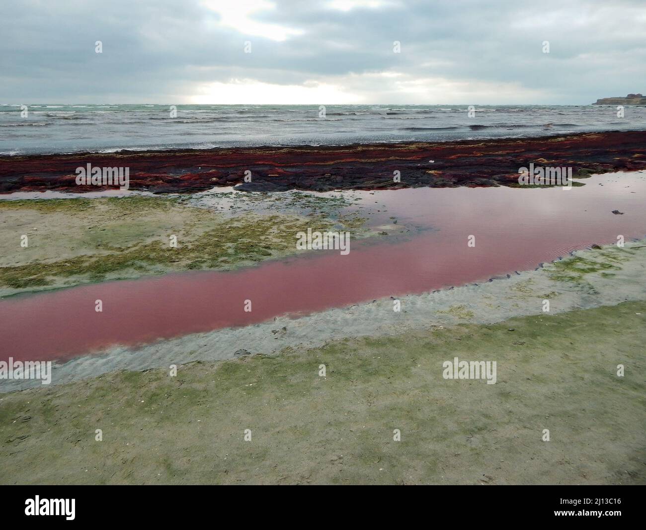 Purple ice on the shore of the Caspian Sea. Kazakhstan. Mangistau region. 19 February. 2020 year. Stock Photo
