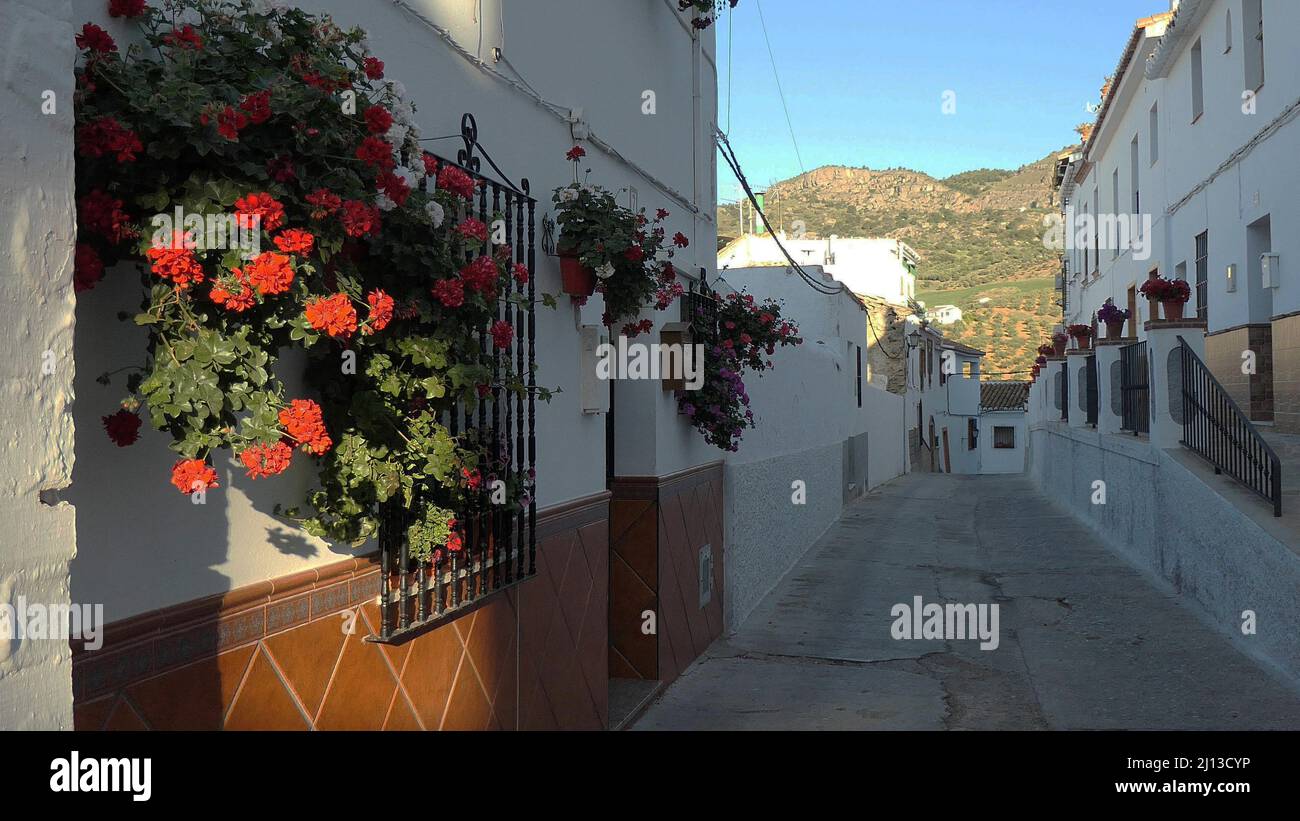 Geraniums decorating front wall in Andalusian village street Stock Photo