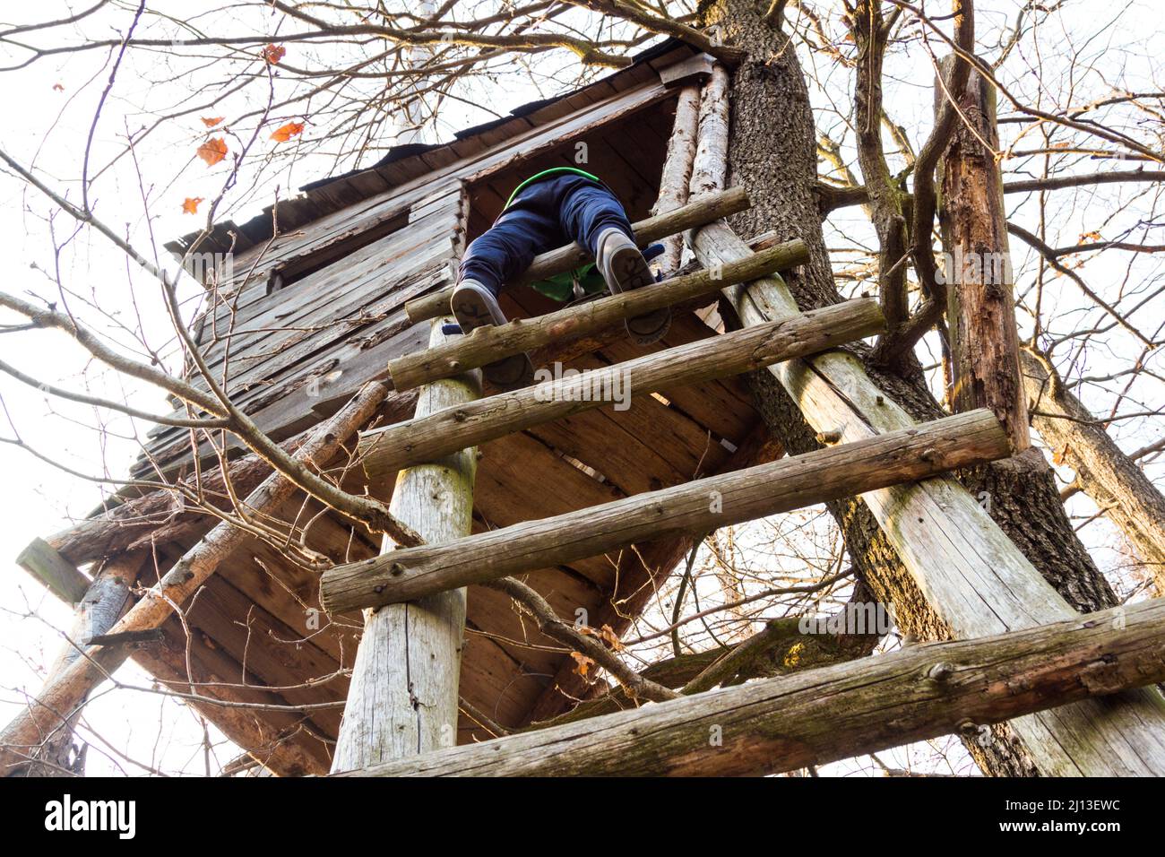 Boy climbing up on ladder of raised stand in forest among trees in