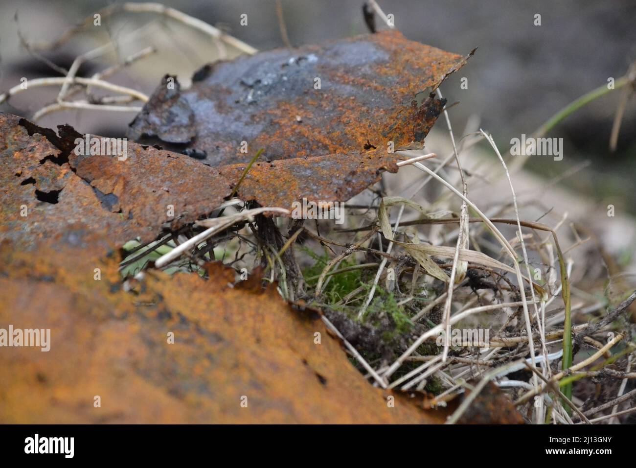 Scrap Piece Of Brown Rusty Metal - Rubbish - Old Garden Waste - Sharpe Edges - Scrap Metal - UK Stock Photo