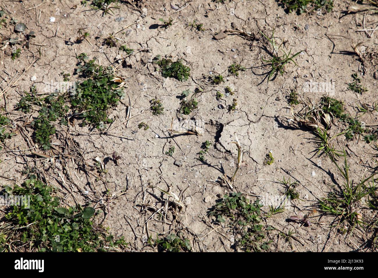 Water shortage and dry land. The texture of cracked earth. Drought ...