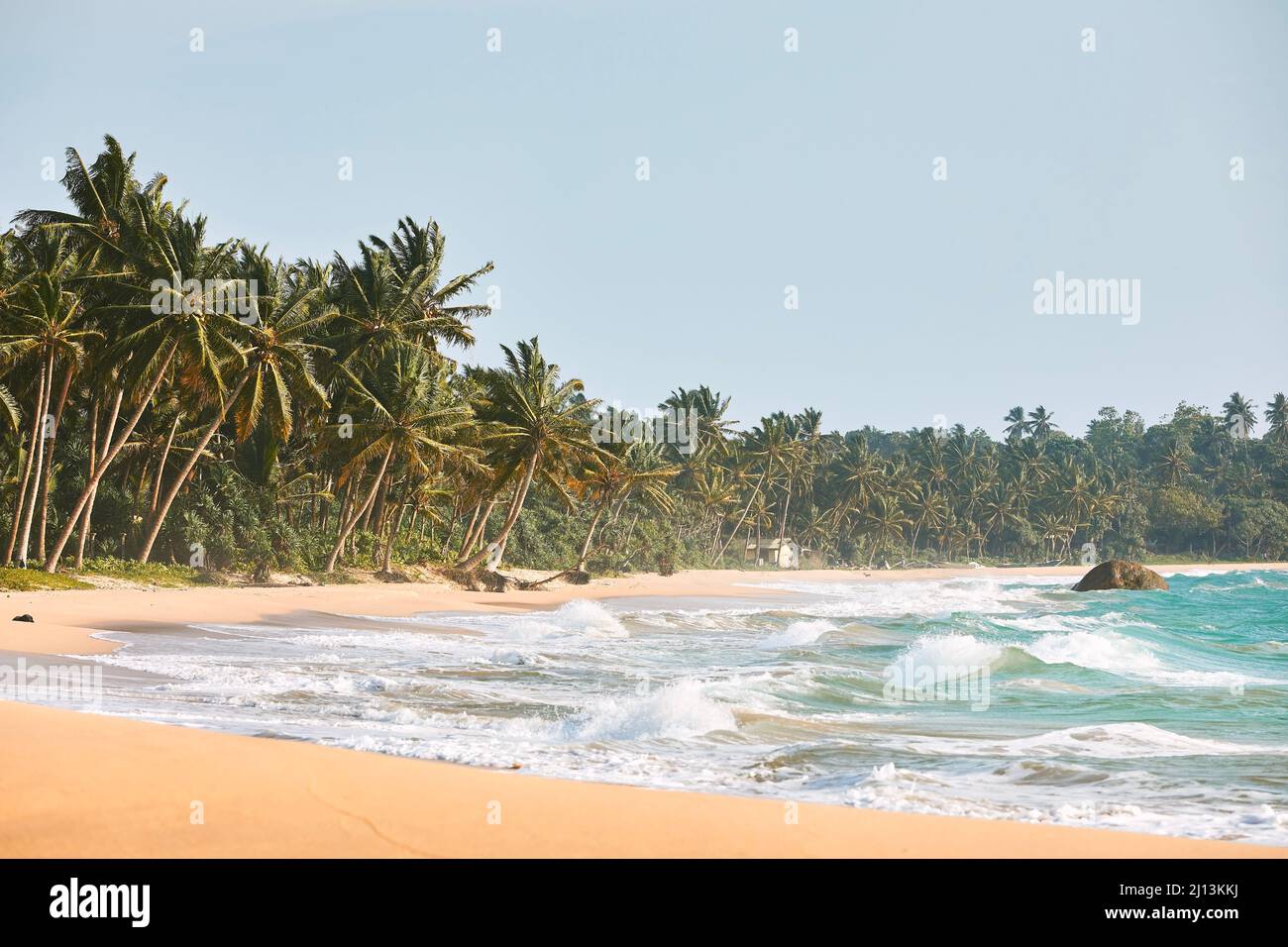 Beach coastline with palm trees hi-res stock photography and images - Alamy