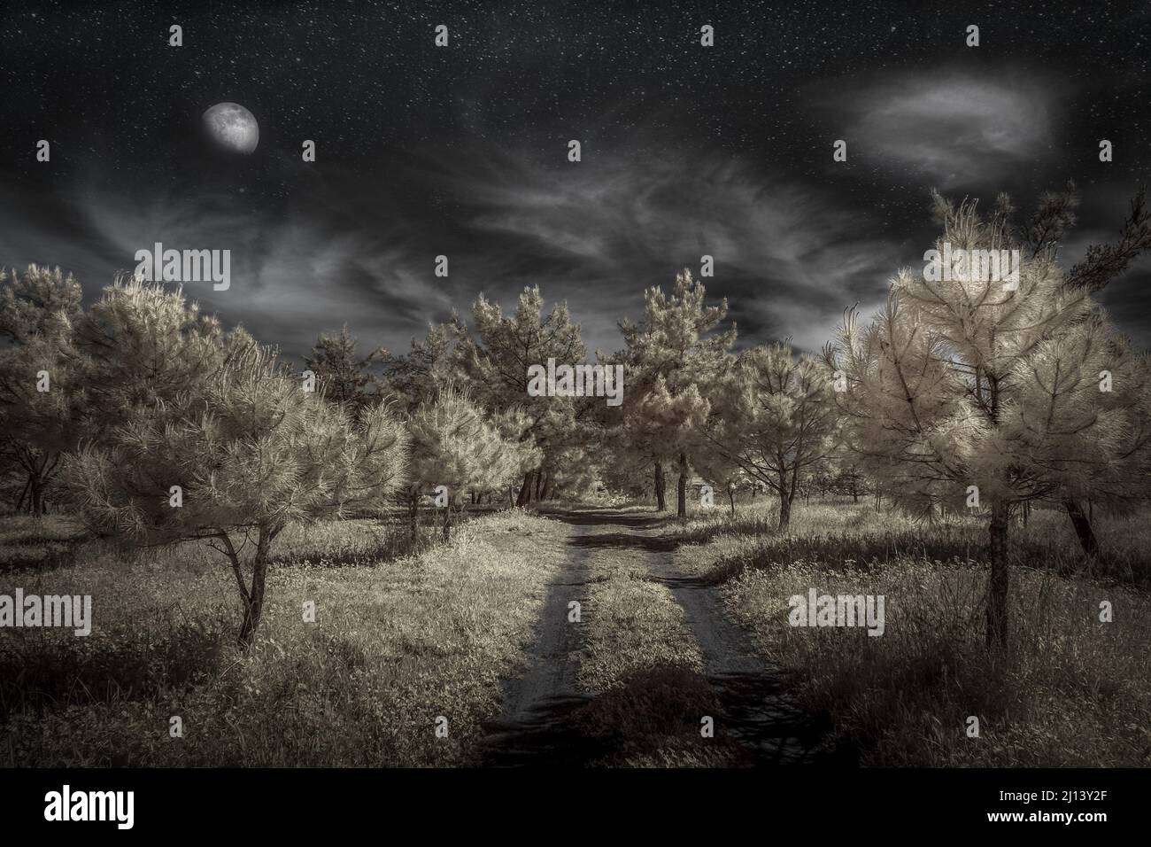 Rural landscape scenery hi-res stock photography and images - Alamy
