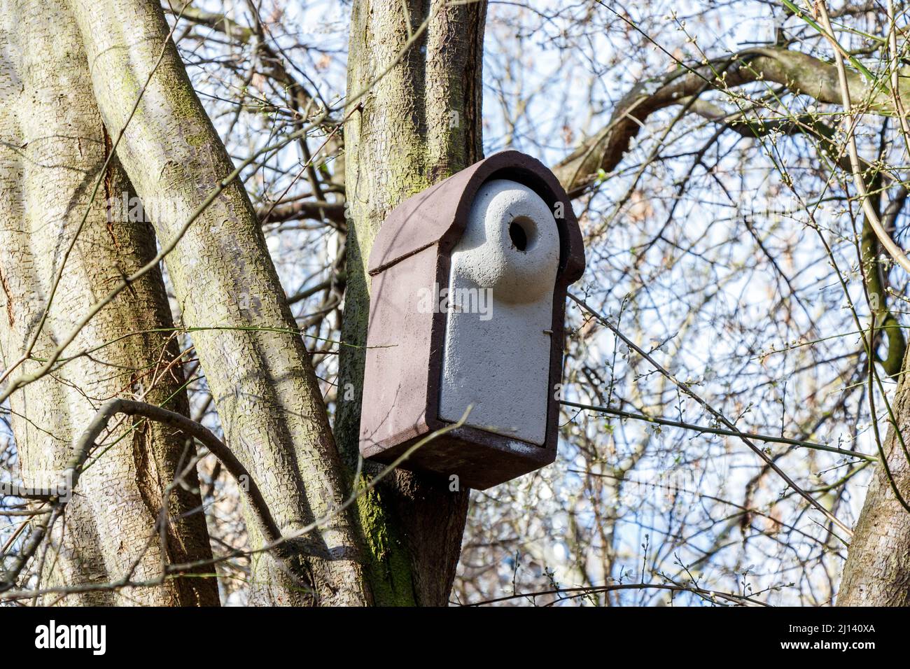 A bird nesting box in Sunnyside Gardens, North London, UK Stock Photo