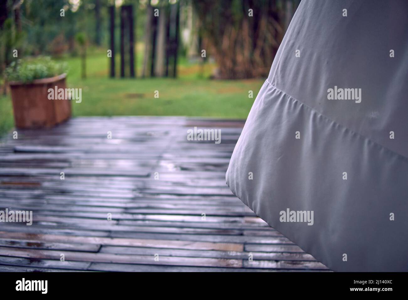 White curtain sways in the wind by an open window or door in a cottage in middle of forest. Windy cloudy and rainy day. Concept of tranquility Stock Photo