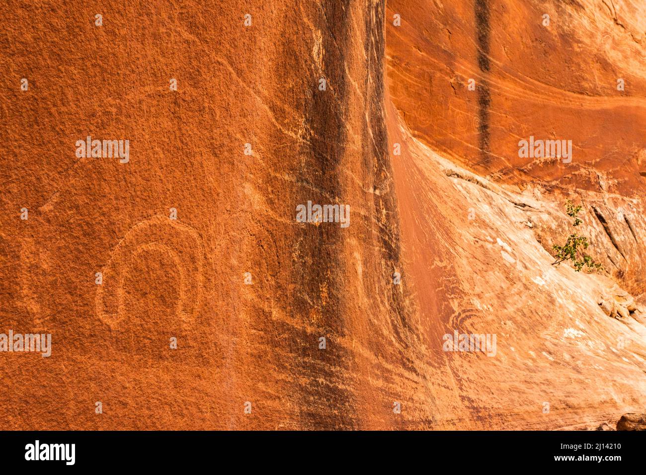 An ancient Native American rainbow petroglyph in the foreground with geometric and anthropomorphic figures in the background of this ancient Native Am Stock Photo