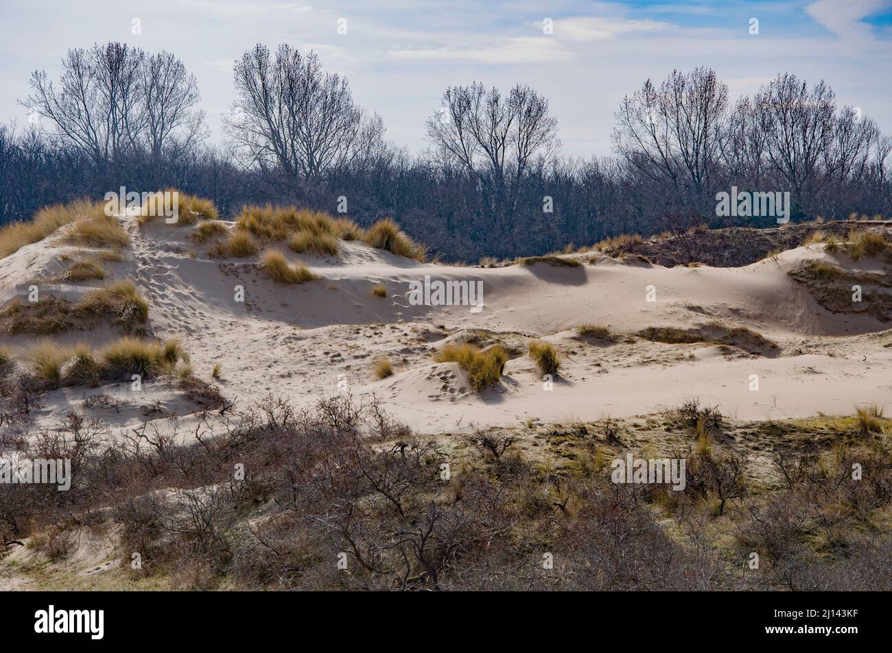 Dunes in Netherlands. Beautiful spring landscape Stock Photo - Alamy