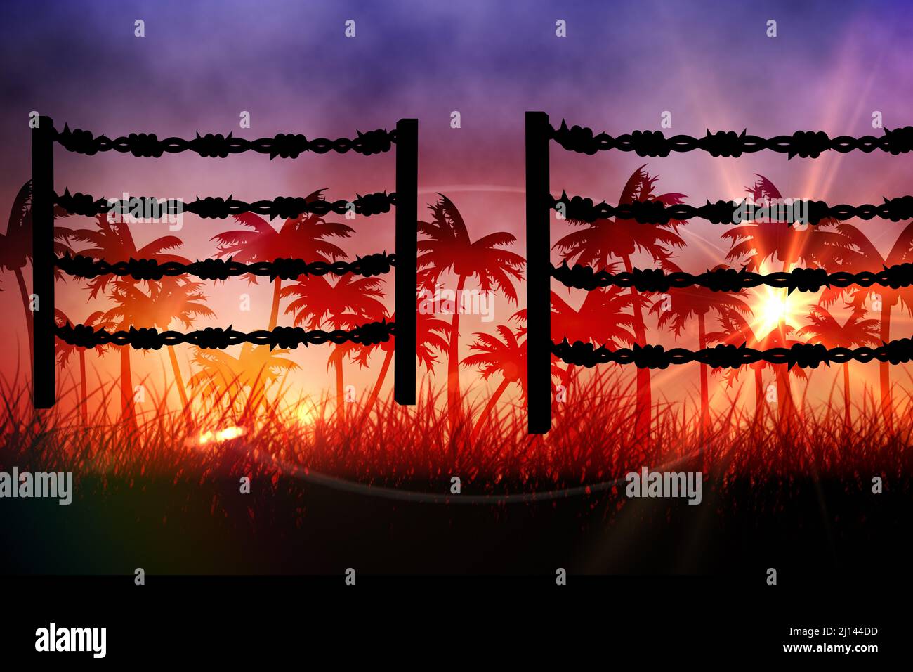 Barbed wire over silhouette of palm trees against sunset sky Stock ...
