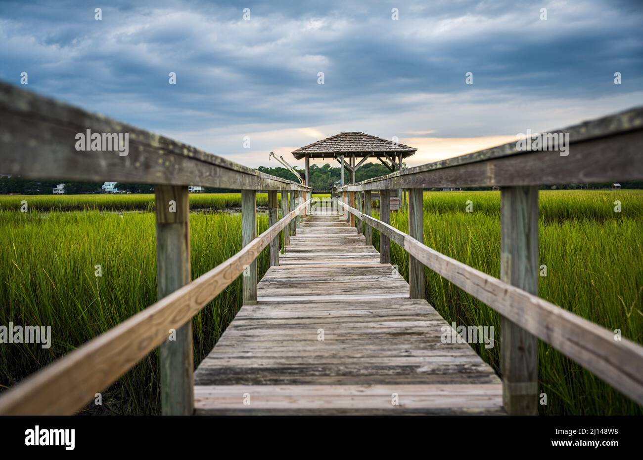 Carolina rice field hi-res stock photography and images - Alamy