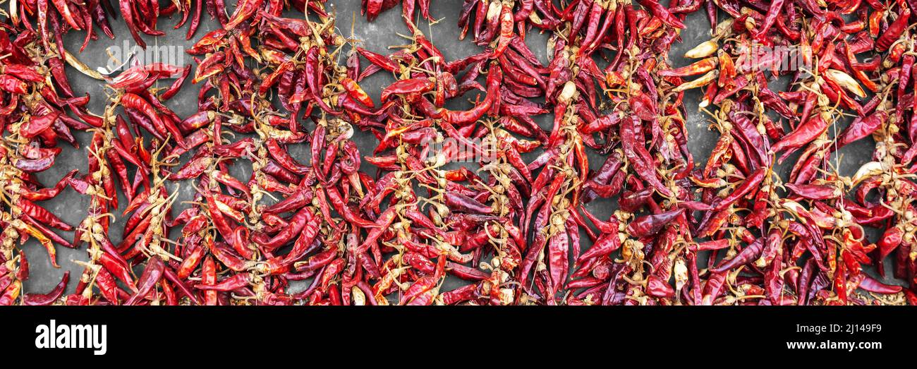 Hungarian paprika garlands drying in the sun in Budapest, Hungary. Panoramic background Stock Photo