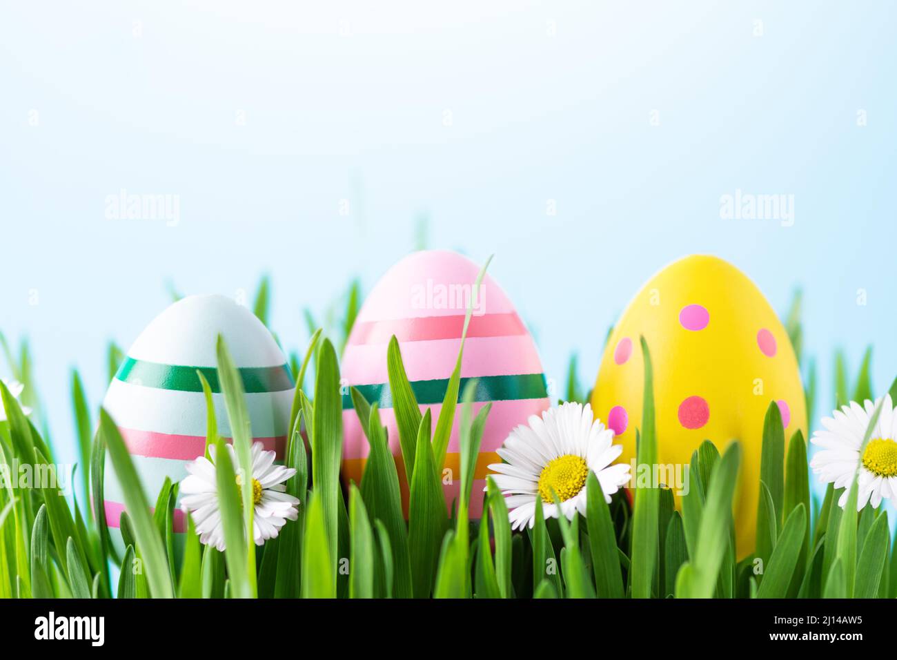 Multi coloured easter eggs in a grass. Happy Easter greeting card. Stock Photo