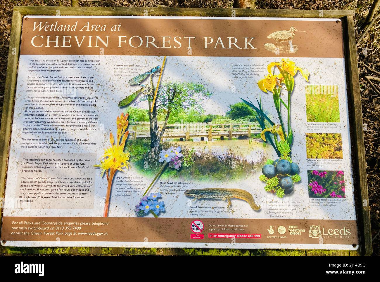 Information display board depicting the wildlife of Chevin Forest Park Wetland Area, a local nature reserve and conservation area in West Yorkshire. Stock Photo