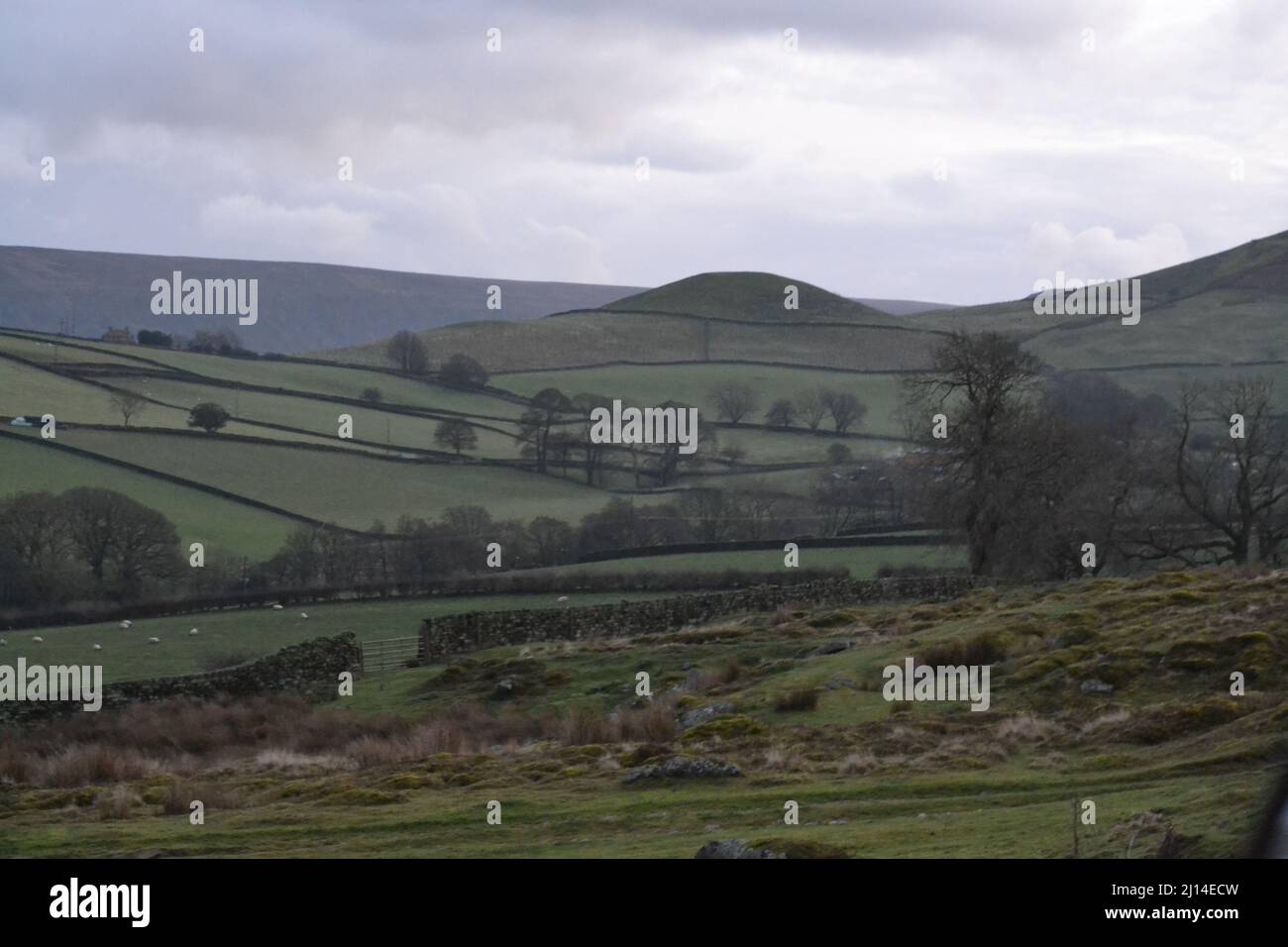 Grass Mound / Hill On The North Yorkshire Moors - Round Hill - Overcast Winters Day - Yorkshire Moors - UK Stock Photo