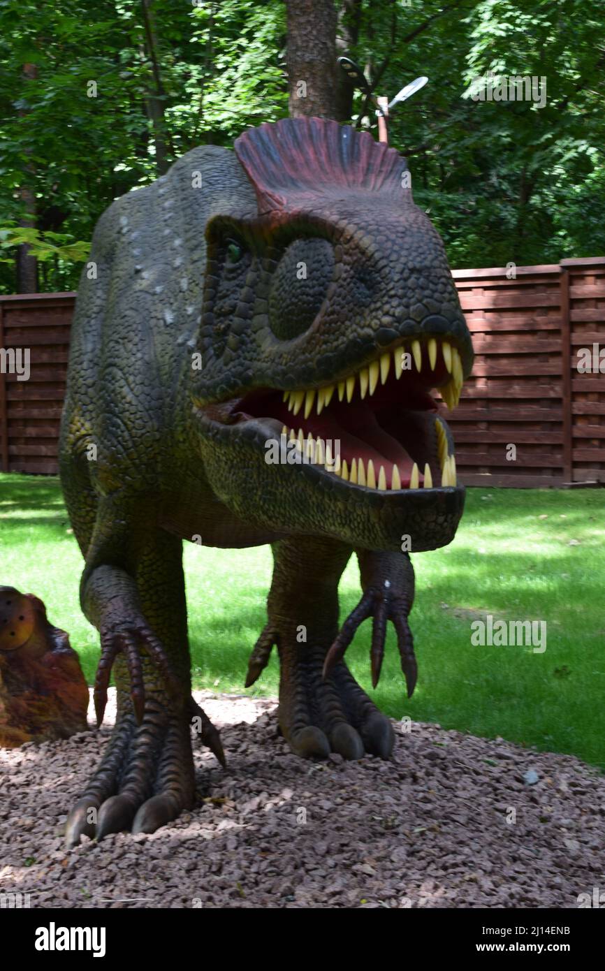 DINO PARK, KHARKOV - AUGUST 8, 2021: Day view of crylophosaurus Dinosaur sculpture display in the park. The prehistoric animals ever lived on earth mi Stock Photo