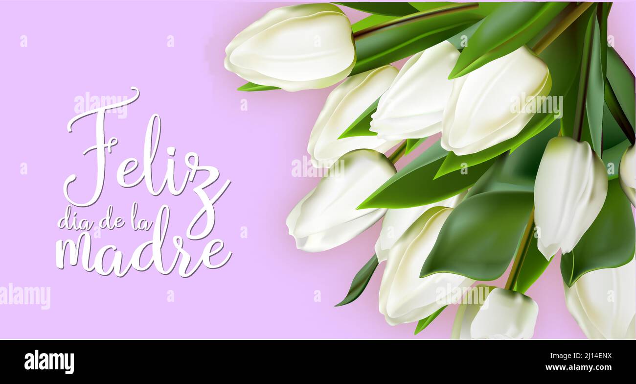 Mother's Day in Spain. Translation from Spanish: Happy mother's day ...
