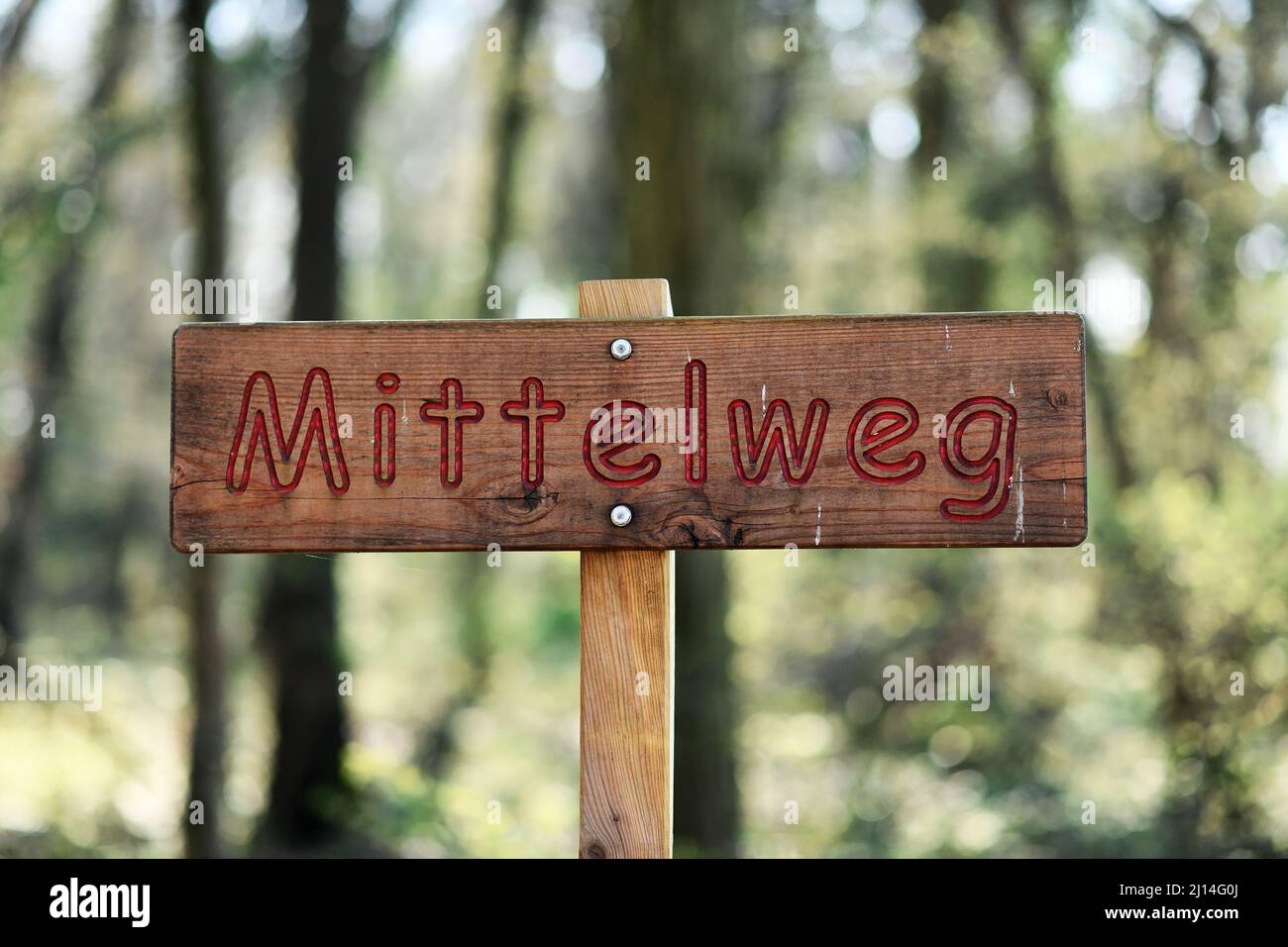 Wooden roadsign saying 'Mittelweg' ('middle ground' in English) in German Stock Photo