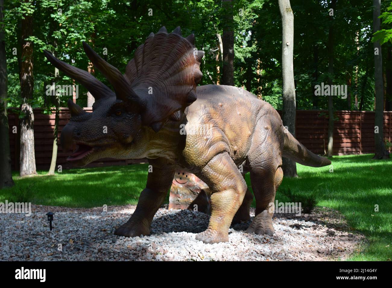 DINO PARK, KHARKOV - AUGUST 8, 2021: Dino Park Triceratops huge dinosaur of Jurassic era walks in the forest in summer on a sunny day. A wild lizard g Stock Photo