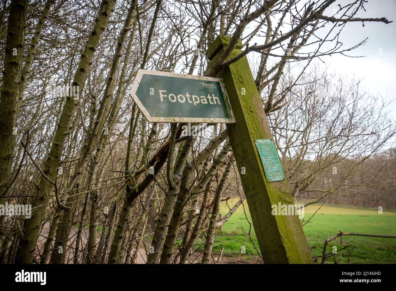 Footpath sign, pointing left printed arrow ended panel mounted in a broken wooden post, only supported by nearby trees Stock Photo