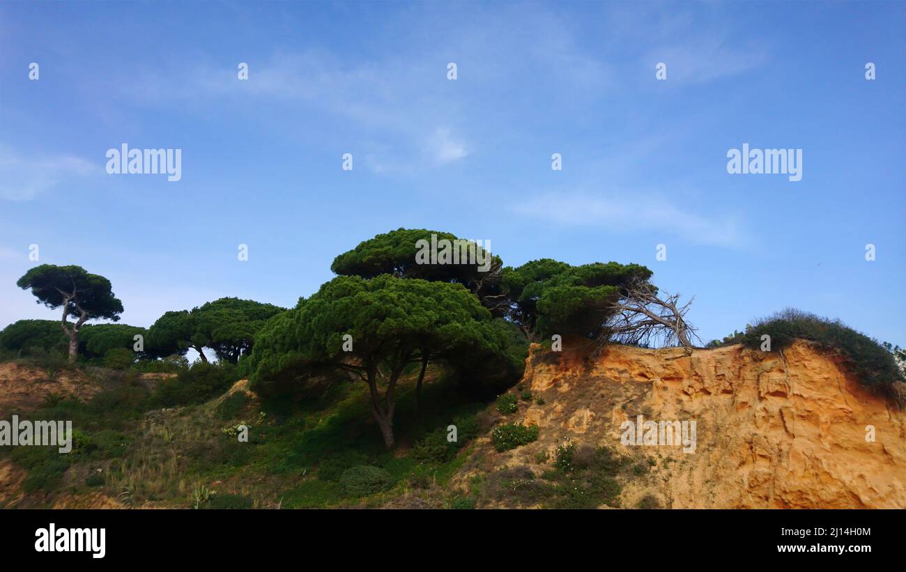 Portugal Algarve coast Stock Photo