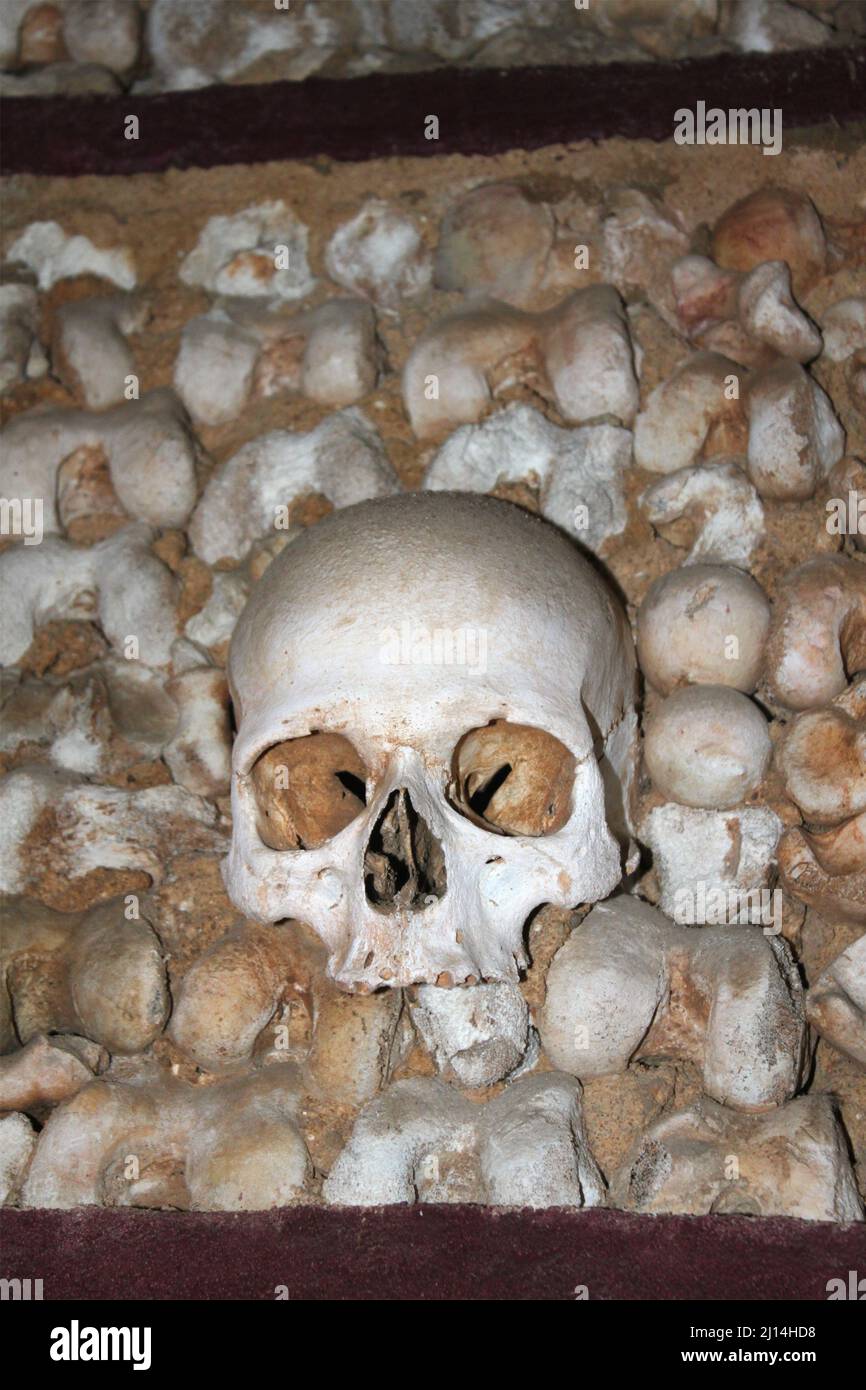 Human skulls (monks) Stock Photo