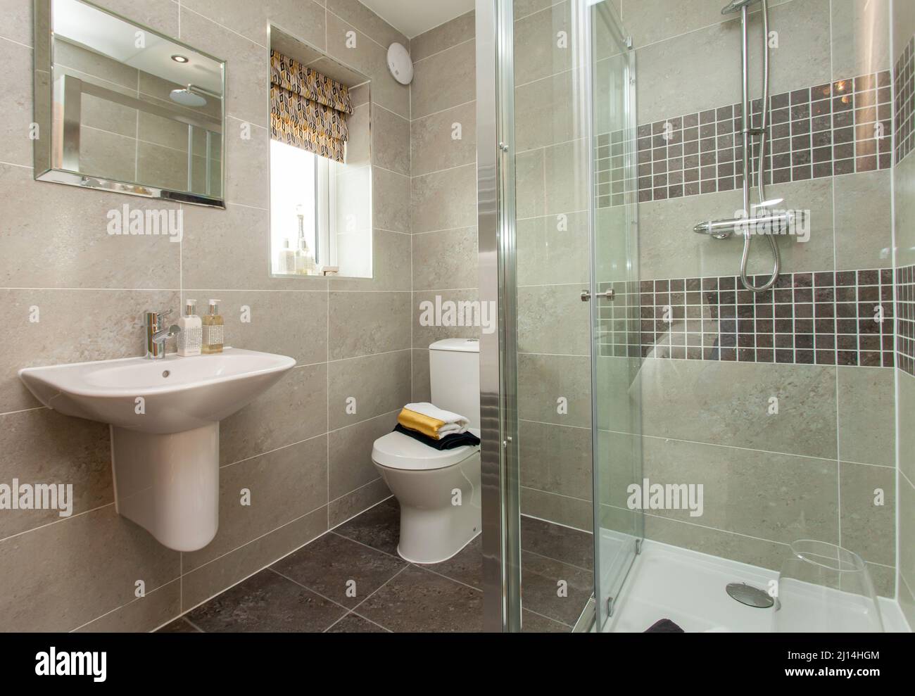 Modern en suite bathroom with toilet, shower cubicle, wash basin sink