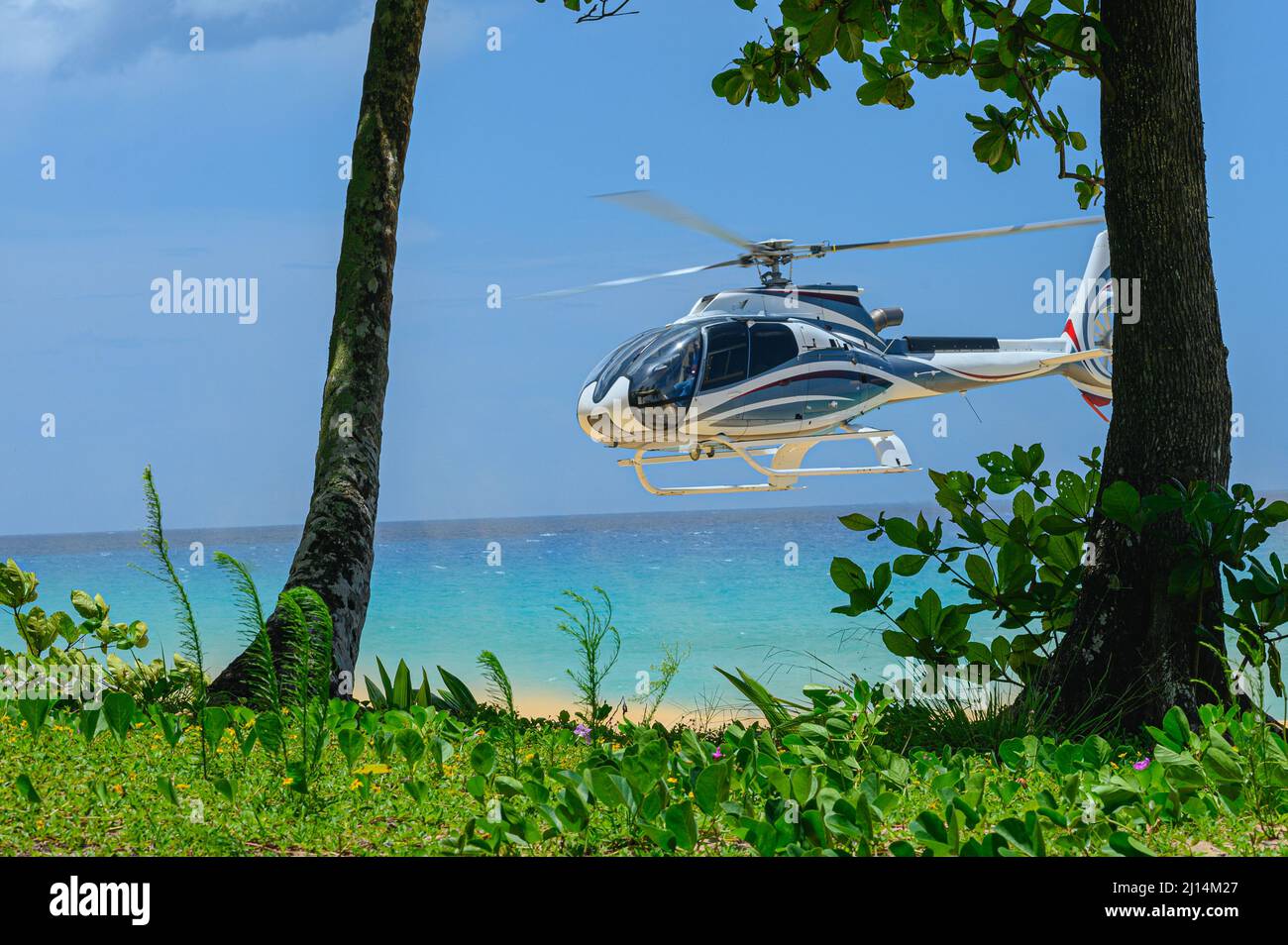 The photo shows a helicopter that brought tourists to the beach to relax. A business aviation helicopter was trying to land directly on the sand. It c Stock Photo