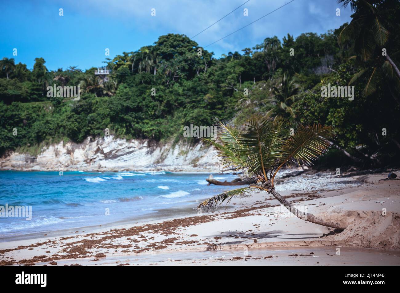Photo of a sandy beach in the foreground from the Dominican Republic. The picture clearly shows the magnificent sand from the Atlantic Ocean and the b Stock Photo