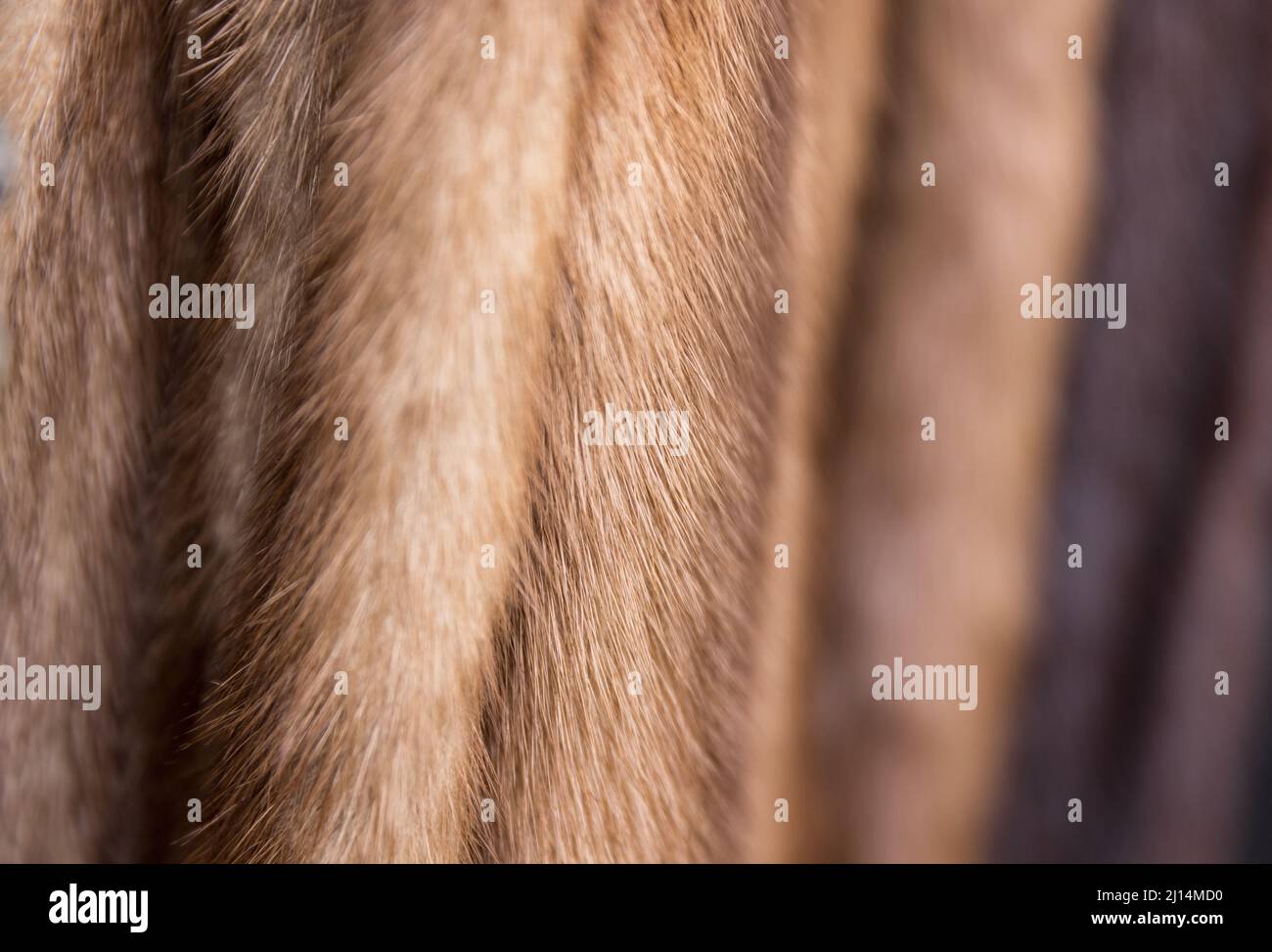 A background of vintage mink fur coats in shades of beige and brown. Shallow depth of field texture suitable for Animal Cruelty or luxury goods projec Stock Photo