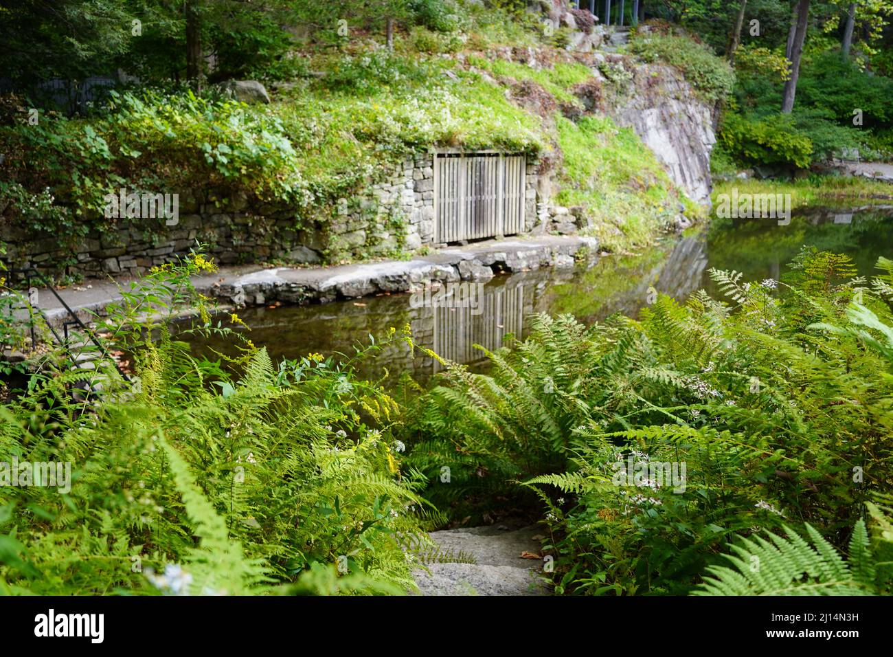 Beautiful colours in nature hi-res stock photography and images - Alamy
