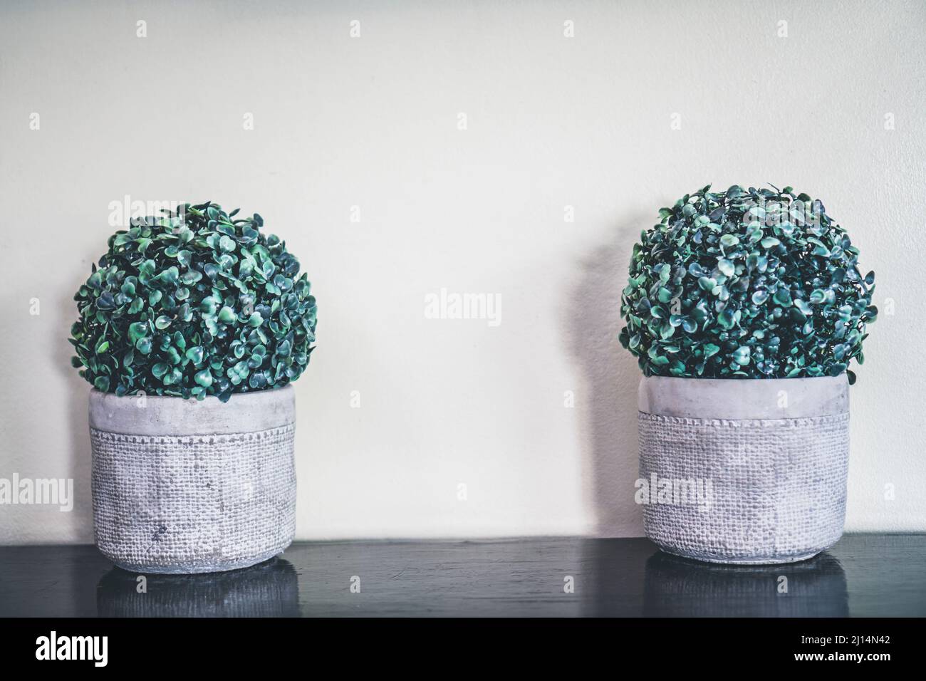 Two green fake plants in the gray planters on the wooden shelf against