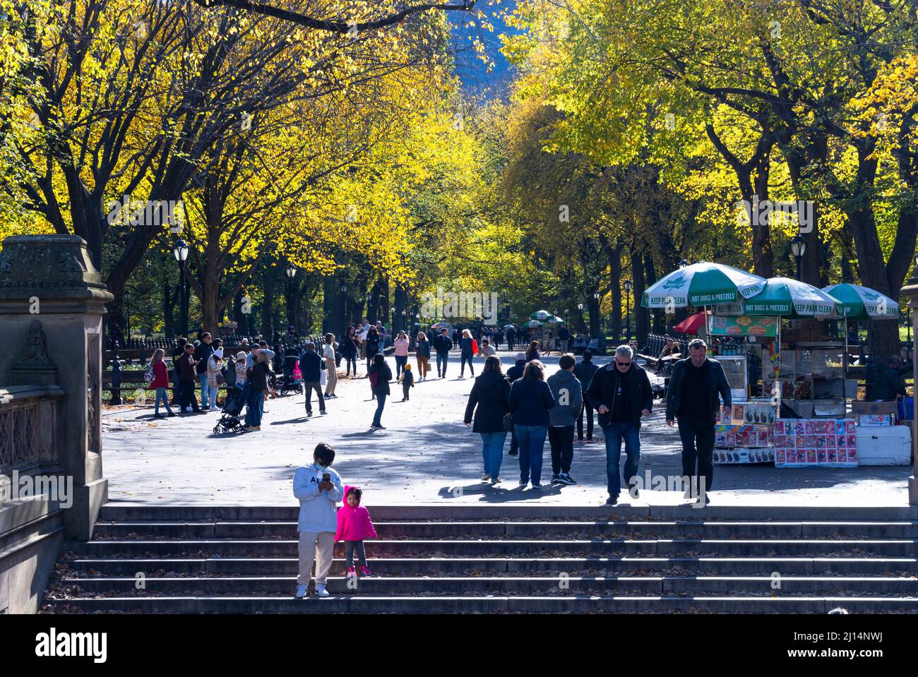 Autumn leaf color trees glow in Central Park NYC 2021 Stock Photo Alamy