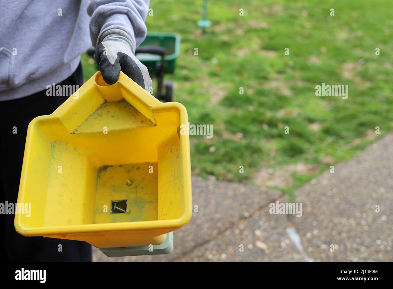 A man pouring lawn fertilizer on grass Stock Photo
