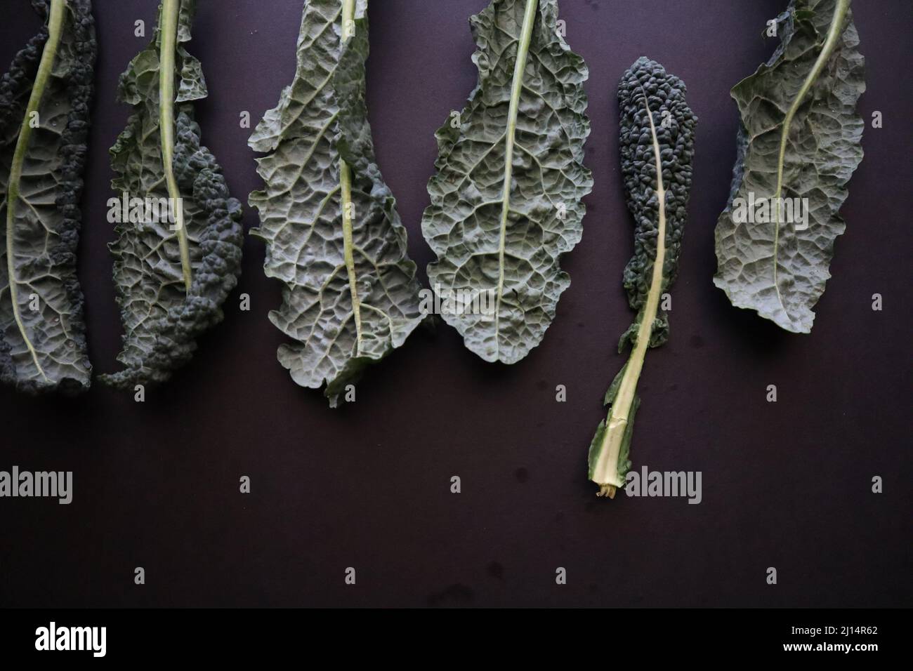 Kale on Black Background Stock Photo