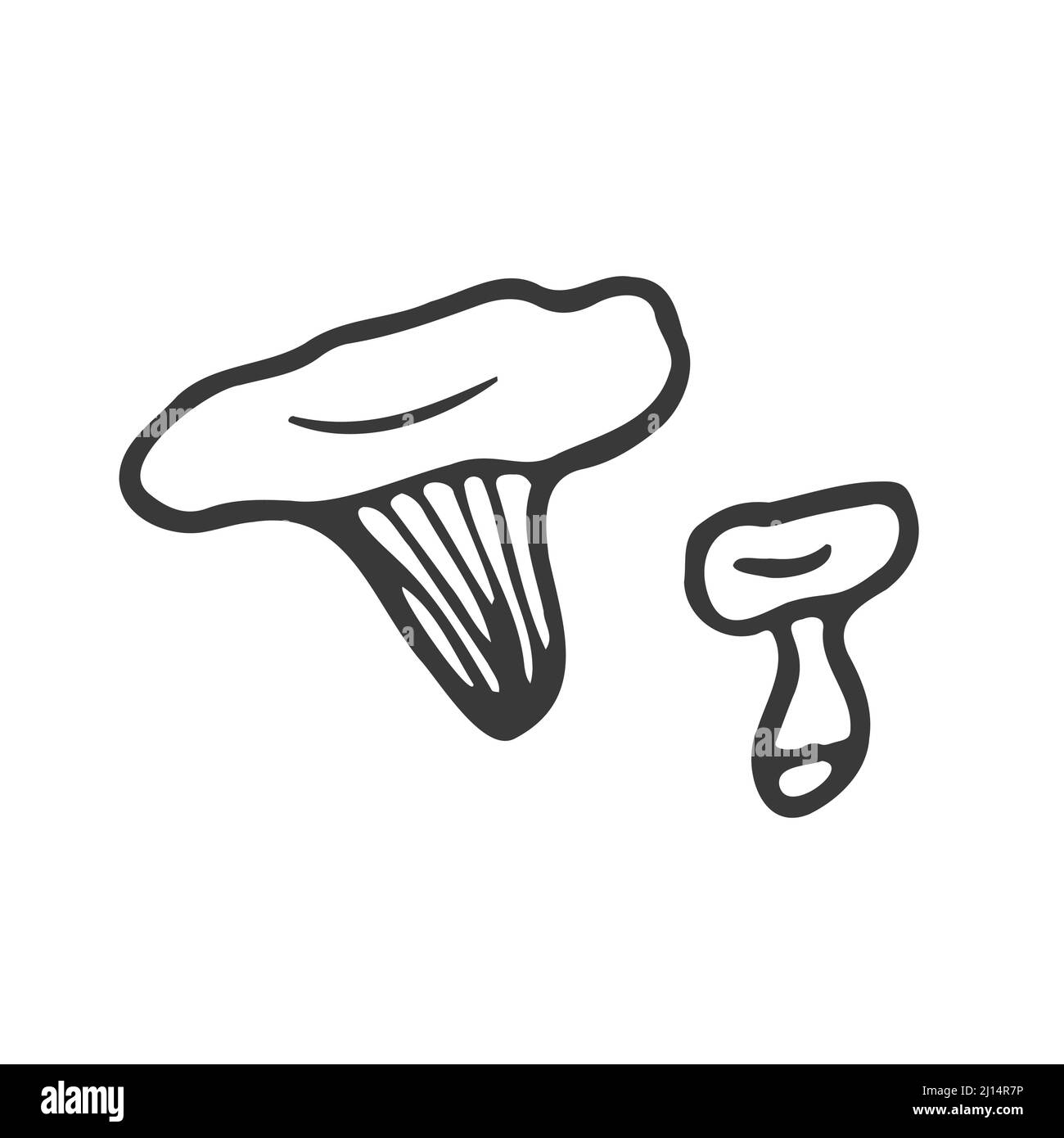 Doodle forest mushroom. Hand drawn sketch line art, vector illustration isolated on white background, gray line art Stock Vector