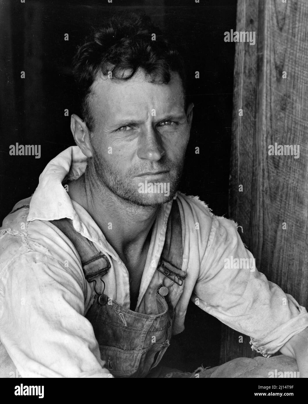 Alabama cotton farming in the Great Depression. Floyd Burroughs, A Cotton Sharecropper, Hale County, Alabama by Walker Evans, 1936 Stock Photo