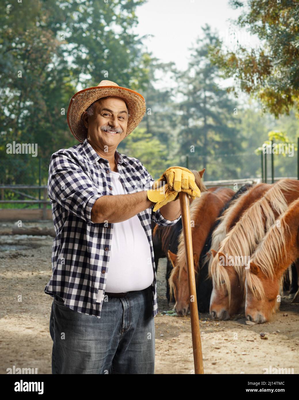 Mature farmer with a straw hat standing on a stud farm Stock Photo