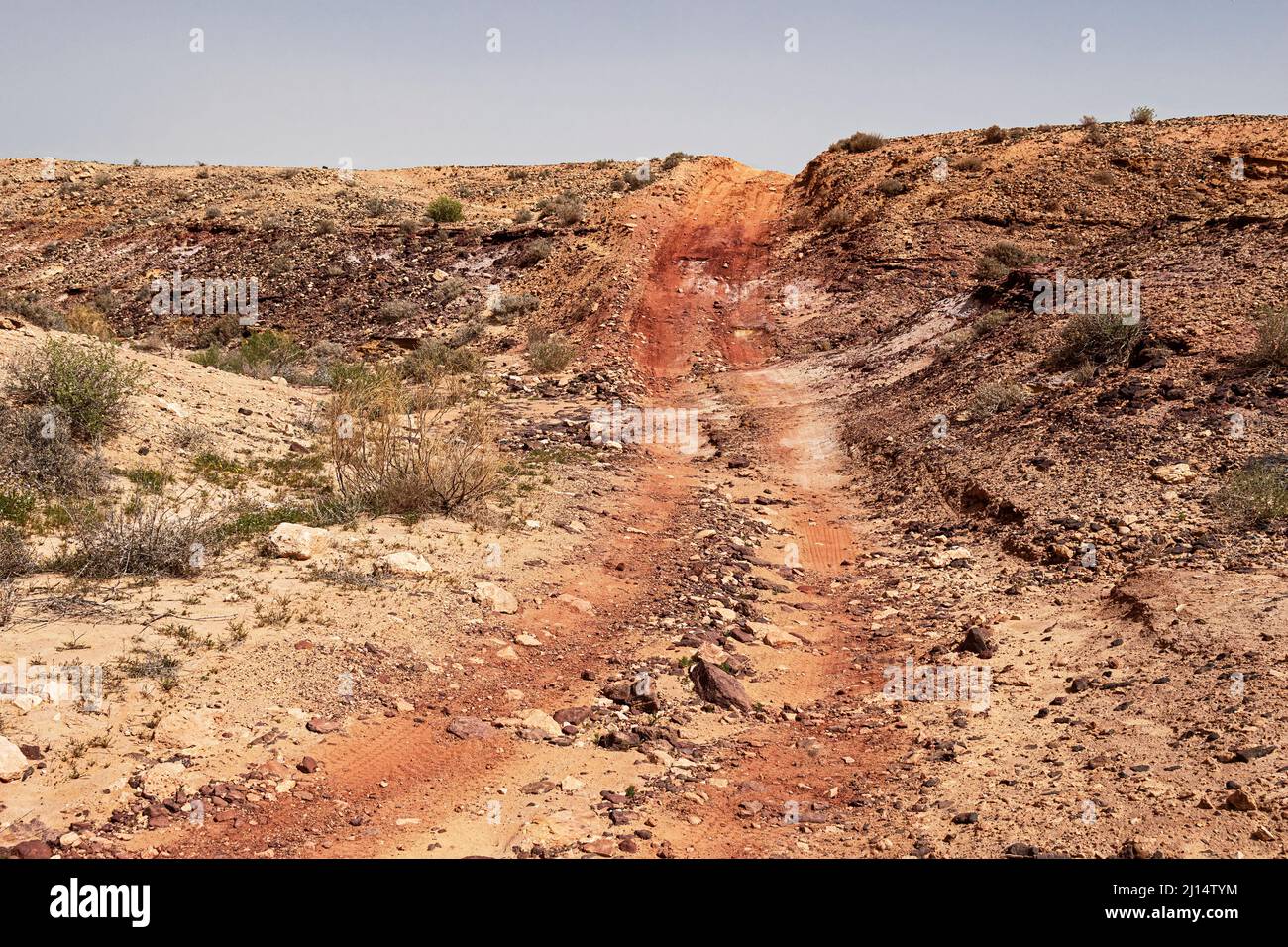 an off road vehicle track slashes through the colorful soils and stones of the Yeruham Large Makhtesh Gadol crater in Israel with a blue sky in the ba Stock Photo