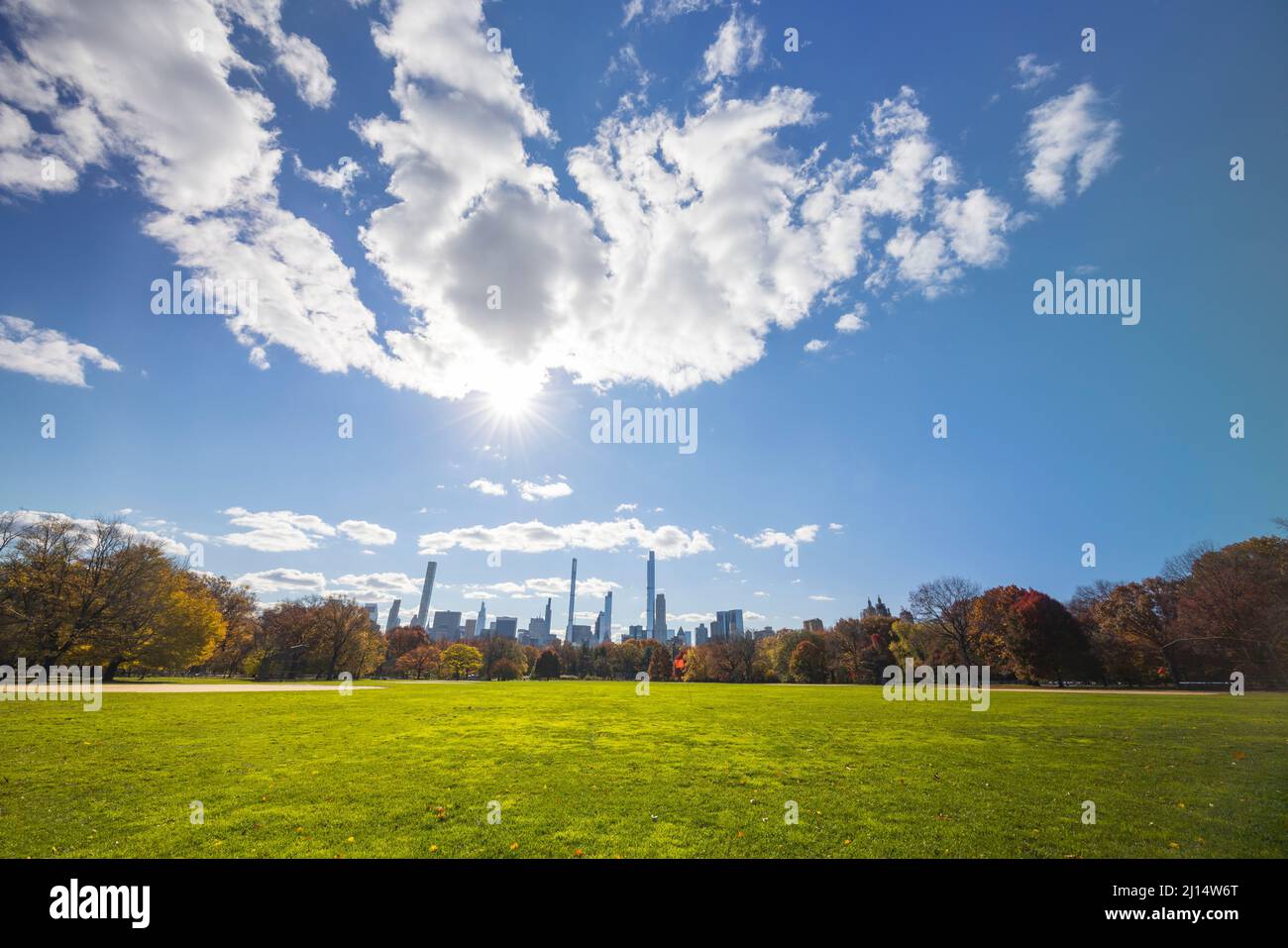 Autumn leaf color trees glow in Central Park NYC 2021 Stock Photo Alamy