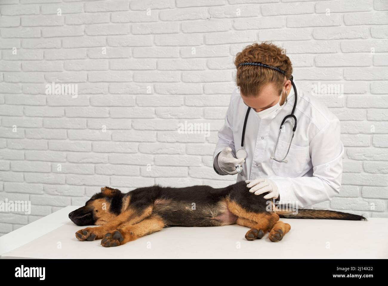 Top dr vet clinic Shop