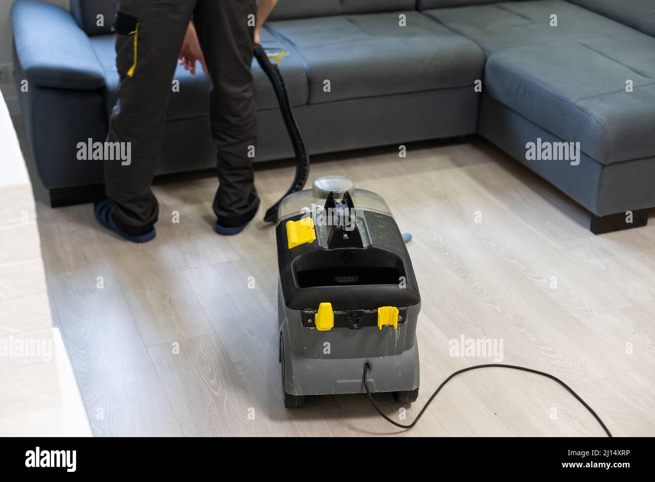Removing dirt from sofa with upholstery cleaner, closeup Stock Photo