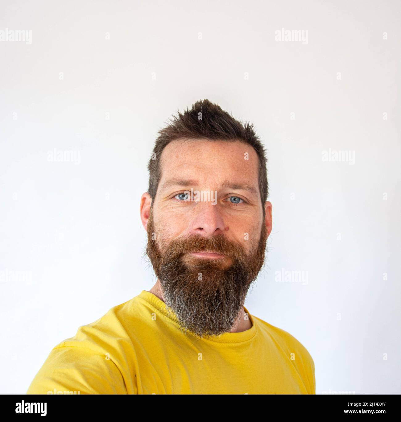 bearded man in yellow polo in white background Stock Photo - Alamy